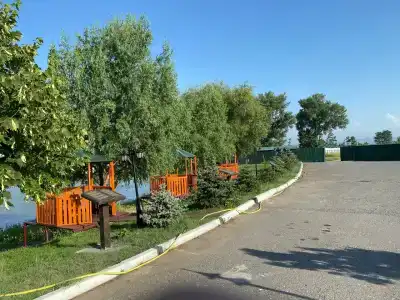 Асса - 20
