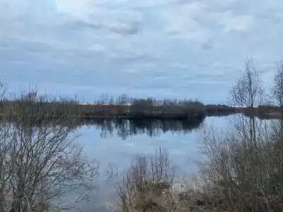 Гусиные Поля - 1