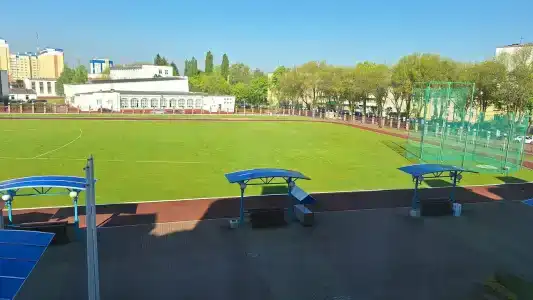5 колец - 52