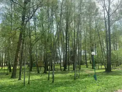 Заря - 23