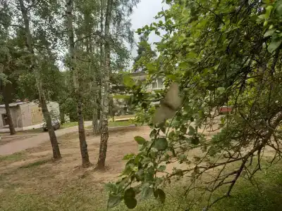 Огонек - 12