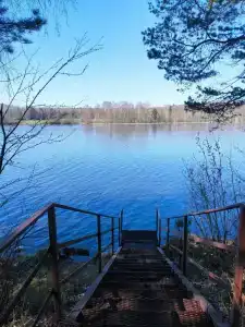 Руш - 86