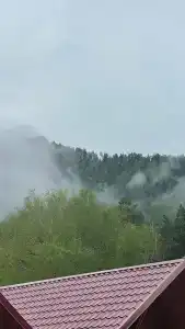 Своя усадьба - 33