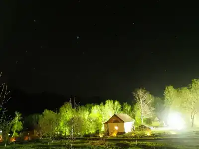 Лесная сказка - 11