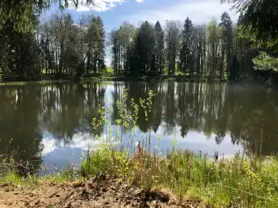 Огниково - 44