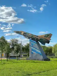 Ибис - 49