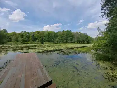 Улыбышево - 26