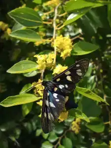 Круглое Озеро - 65