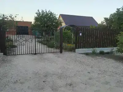 у Александра - 26
