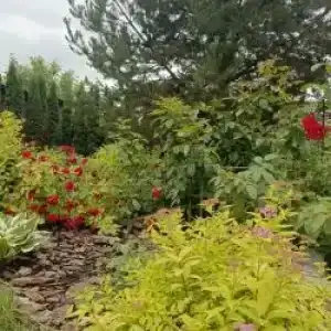 Постоялый Двор - 85