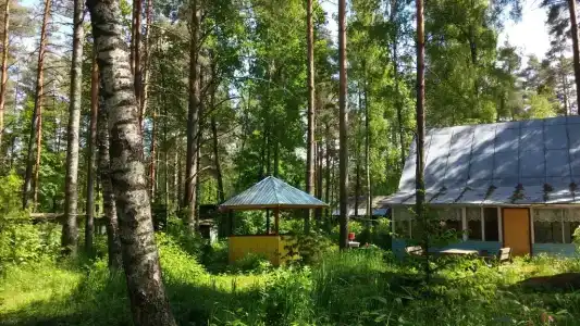 Холодный ручей - 14