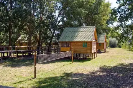 Прокоста - 5