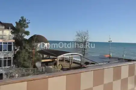 Дельфин - 4