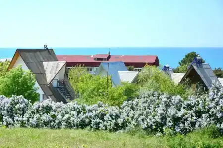 Одиссей - 9