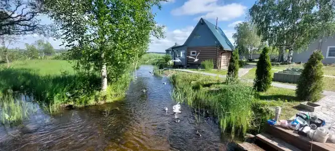 Загородный - 43