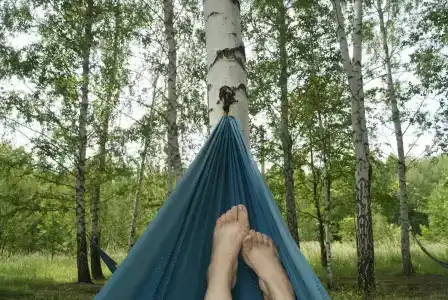 Мультиферма - 50