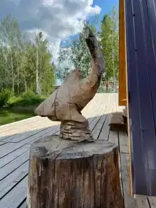 Скиф - 40