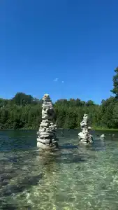 Лесная поляна - 6