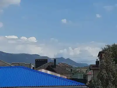 Белая Лебедь - 23