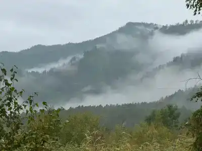 Кучигер - 30