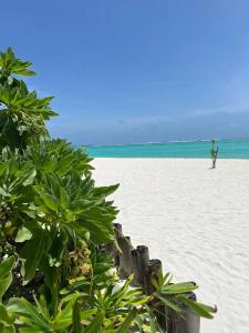 You & Me Maldives - 41