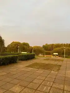 Маево - 43