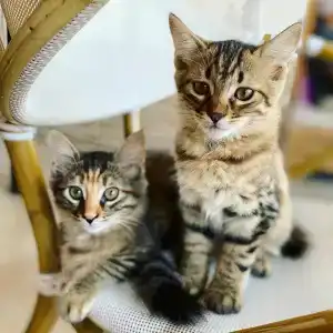 Second Home Hostel - 4