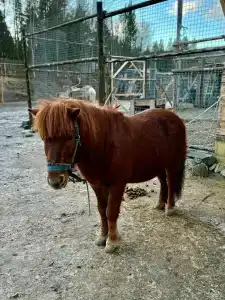 Огни Имандры - 17