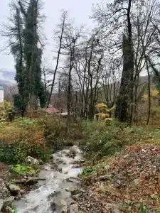 Шале A-Frame Forrest - 29