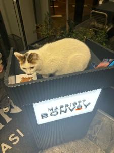 The Westin Nisantasi - 27