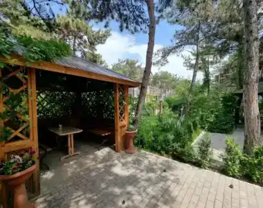 Песчаный берег - 49