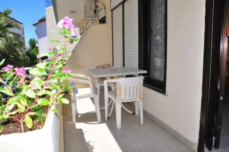 Delphin Side - 27