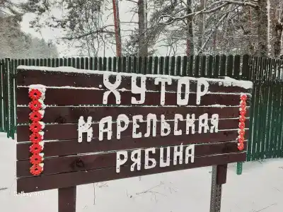 Карельская рябина - 0