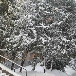 Матвеевский - 31