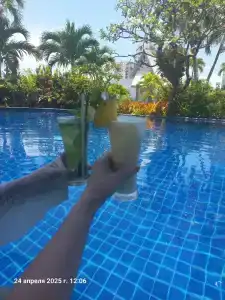 Sunshine Vista - Sha Plus - 48