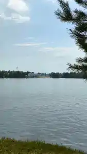 Белый лис - 22