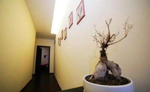 Rome Vatican Suite - 15