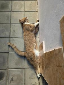 Морское Небо - 69