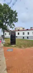 The Basilian Minsk, Curio Collection By Hilton - 90