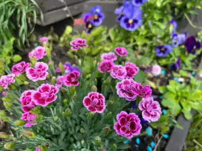 Рай в шалаше - 18