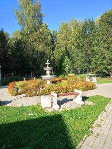 Новый источник - 31