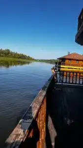 Роза Ветров - 12
