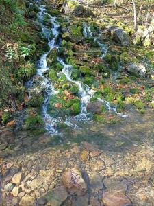 Кук-Караук - 17