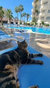 Club Sun Heaven - 15