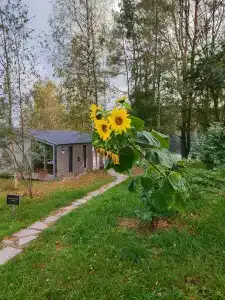 Карельские Лага - 19