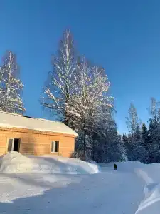 Хутор Васильевых - 41