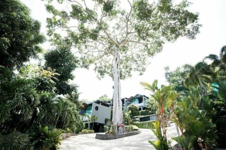 The Senses Resort & Pool Villas - Sha Plus - 43