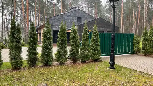 Надзея - 10