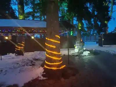 Рябина - 12