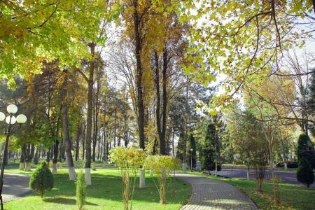 Residence Park - 50